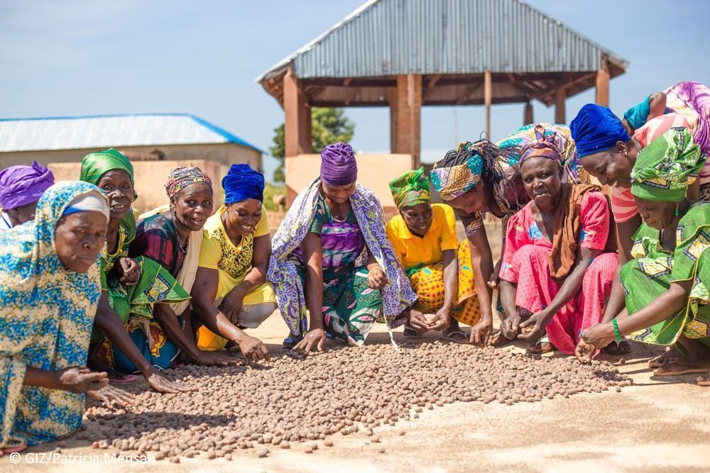 Women harvesting
